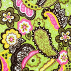 Minky - Paisley - Robert Kaufman (per meter)