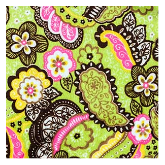 Minky - Paisley - Robert Kaufman (per meter)
