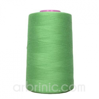 Cône fil polyester Vert Pomme (4573m)