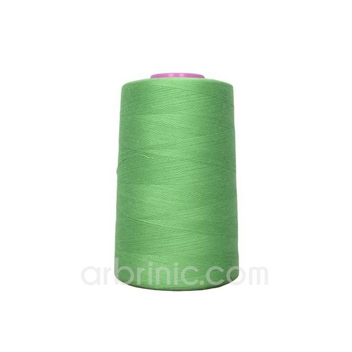 Polyester Serger and sewing Thread Cone (4573m) Apple Green