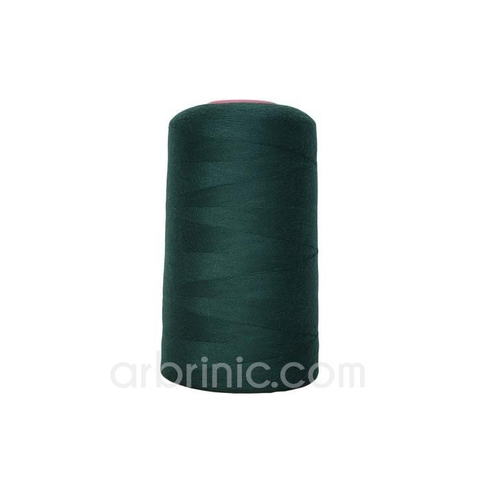 Cône fil polyester Vert de Chrome (4573m)