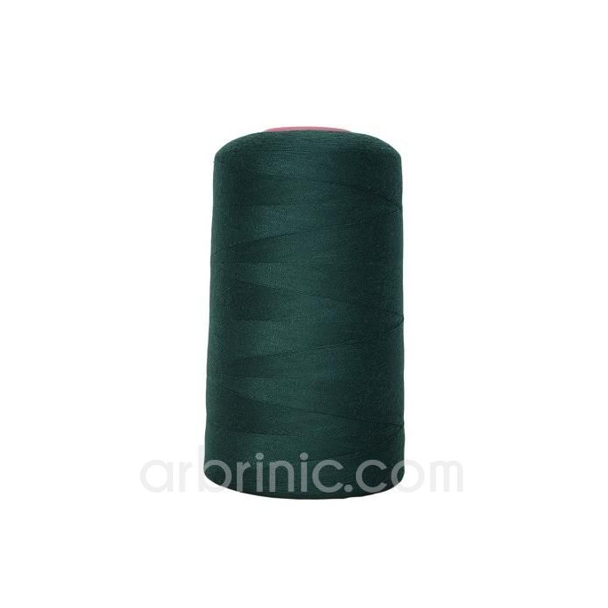 Polyester Serger and sewing Thread Cone (4573m) Chrome Green