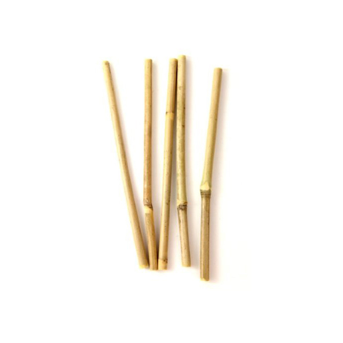 Bamboo drinking straws : the ecological straw (pack of 5 straws)
