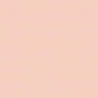 Coton Bio Lange Tout Petit Rose Cloud9 (par 10cm)