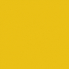 Micro Polaire Jaune d'or
