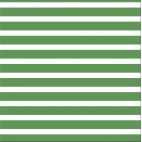 Coton Bio Interlock Colourful Stripes Green Cloud9