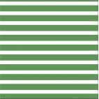 Coton Bio Interlock Colourful Stripes Green Cloud9