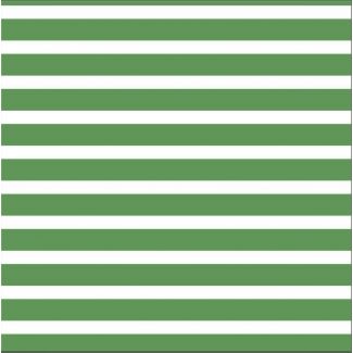 Coton Bio Interlock Colourful Stripes Green Cloud9