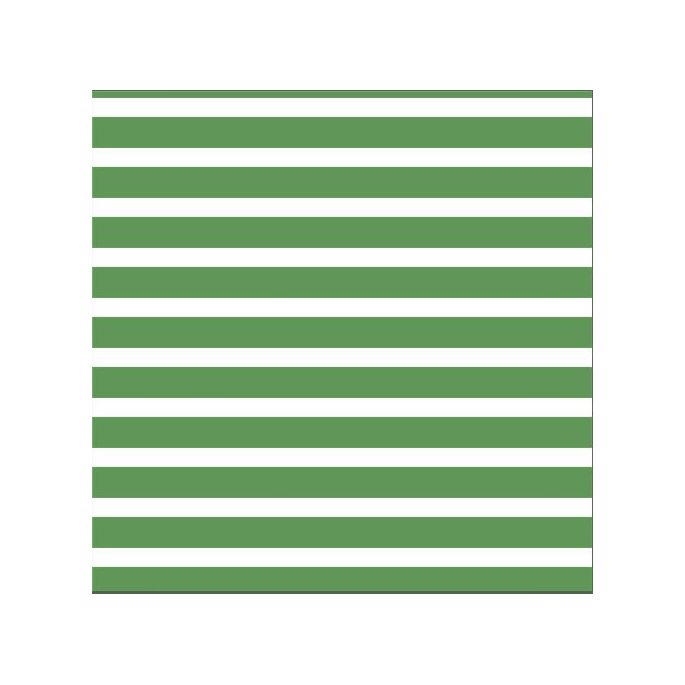 Coton Bio Interlock Colourful Stripes Green Cloud9