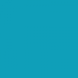 PUL USA Bleu turquoise (par 10cm)