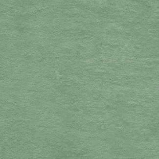 Cotton Micro-terry Organic 320g Celadon Green