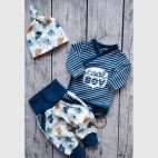 Organic cotton jersey Blue Elephants