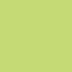 Regular Celeri Green PUL