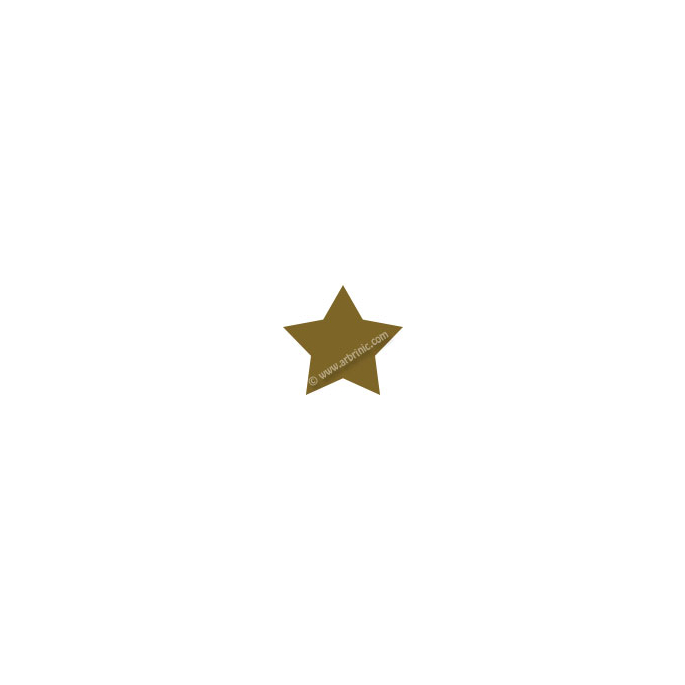 KAM SnapsT5 - Bronze B11 - 20 STAR sets
