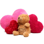 Peluche : Minky, Teddy