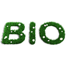 Le Coton bio pour les couches